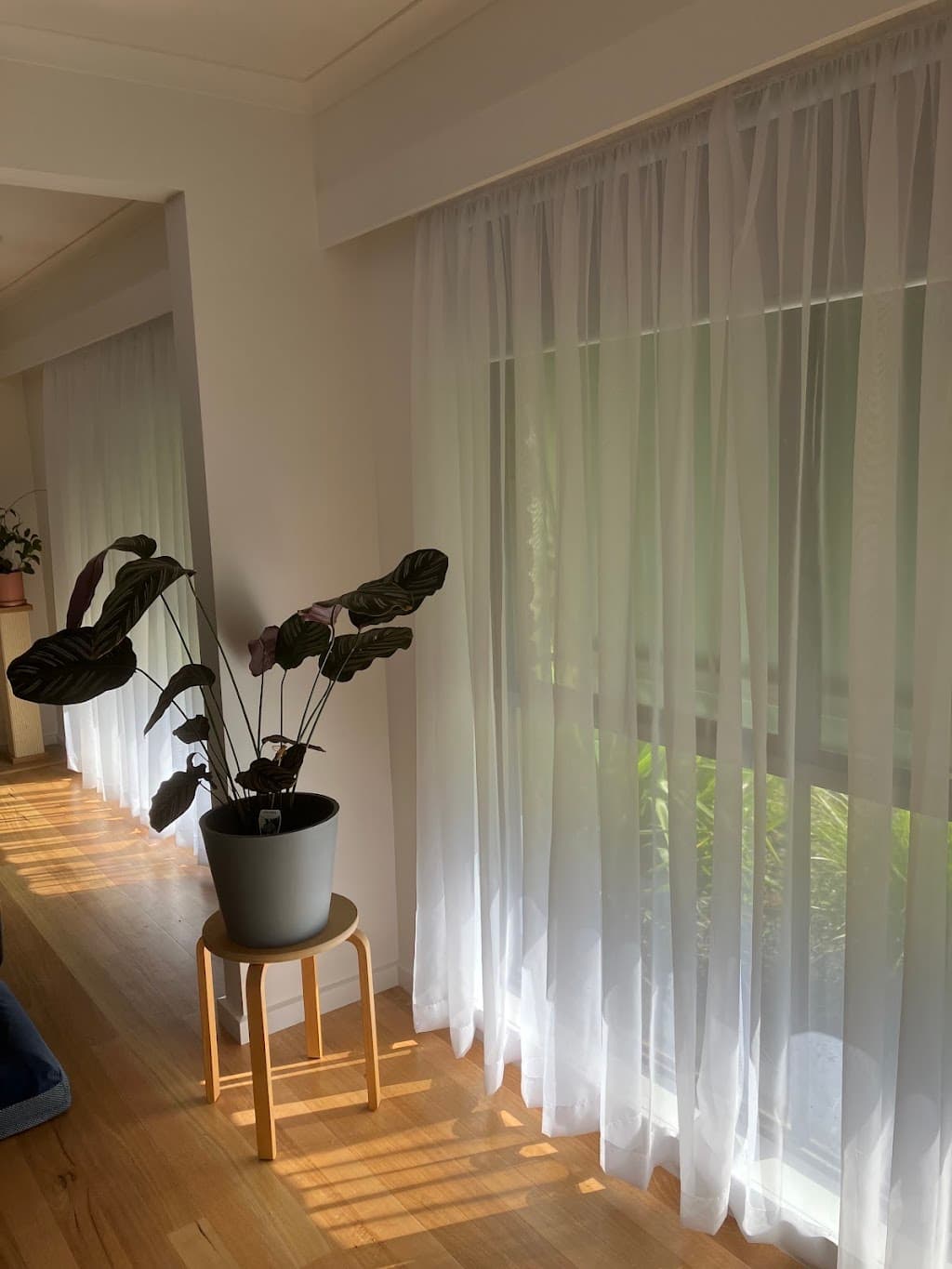 dollar curtains + blinds Bendigo