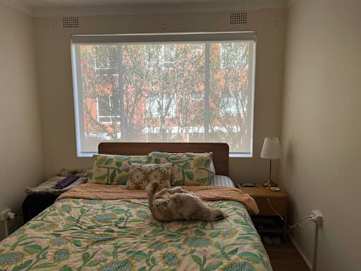 No Bull Blinds Pty Ltd — Customer photo