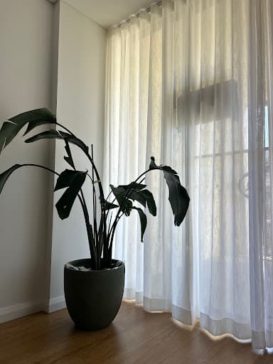 Ms.Curtain — Customer photo