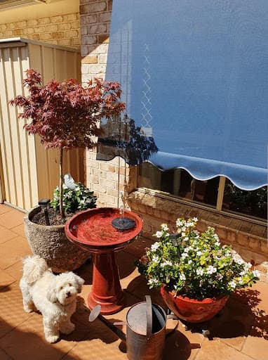 Creative Blinds Toowoomba — Customer photo
