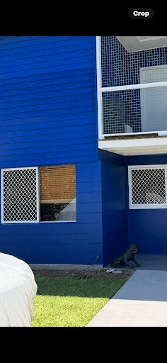 SP Screens Coffs Harbour — Customer photo
