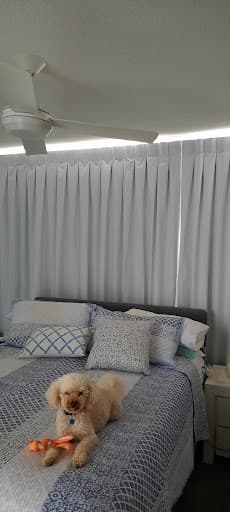 Artizen Curtains — Customer photo